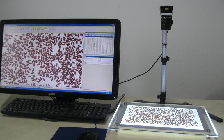 SC-G���Ԅ�(d��ng)�N�әz�y(c��)���N-�������-�x(ch��ng)��Ӌ(j��)��(sh��)�x