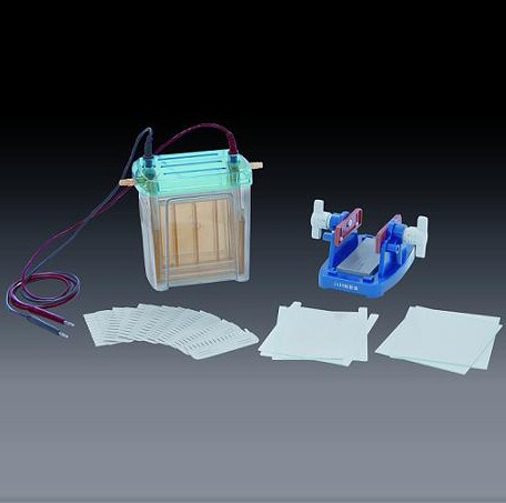 �a(ch��n)Ʒ���Q���p��ֱ�Ӿ�x(��)(��̖)DYCZ-24EN