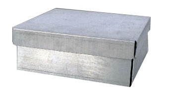 �X�������