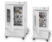 �������B(y��ng)������(xi��n)����ʮ�ξ���