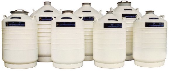 Һ�������������\ݔ��II��