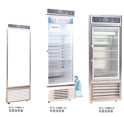 ù�����B(y��ng)��