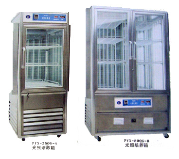 �������B(y��ng)��