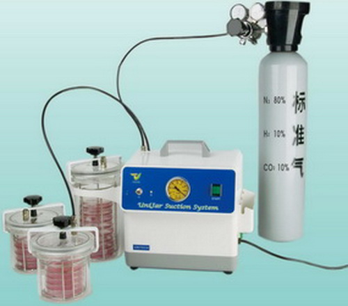 ����΢�����������B(y��ng)