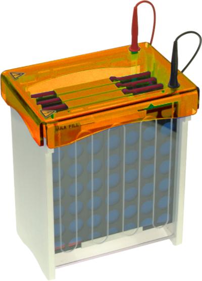 ����MS-��D(zhu��n)ӡϵ�y(t��ng)