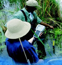 YSI 6ϵ�ж๦��ˮ�|(zh��)�O(ji��n)�yϵ�y(t��ng)