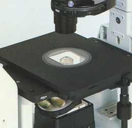 ������ذ�