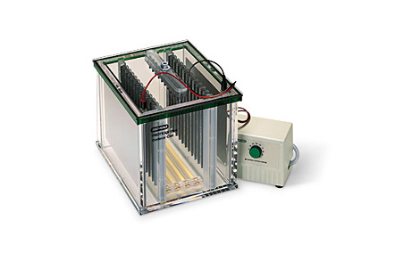 ����PROTEAN Plus Dodeca��ͨ���Ӿ��